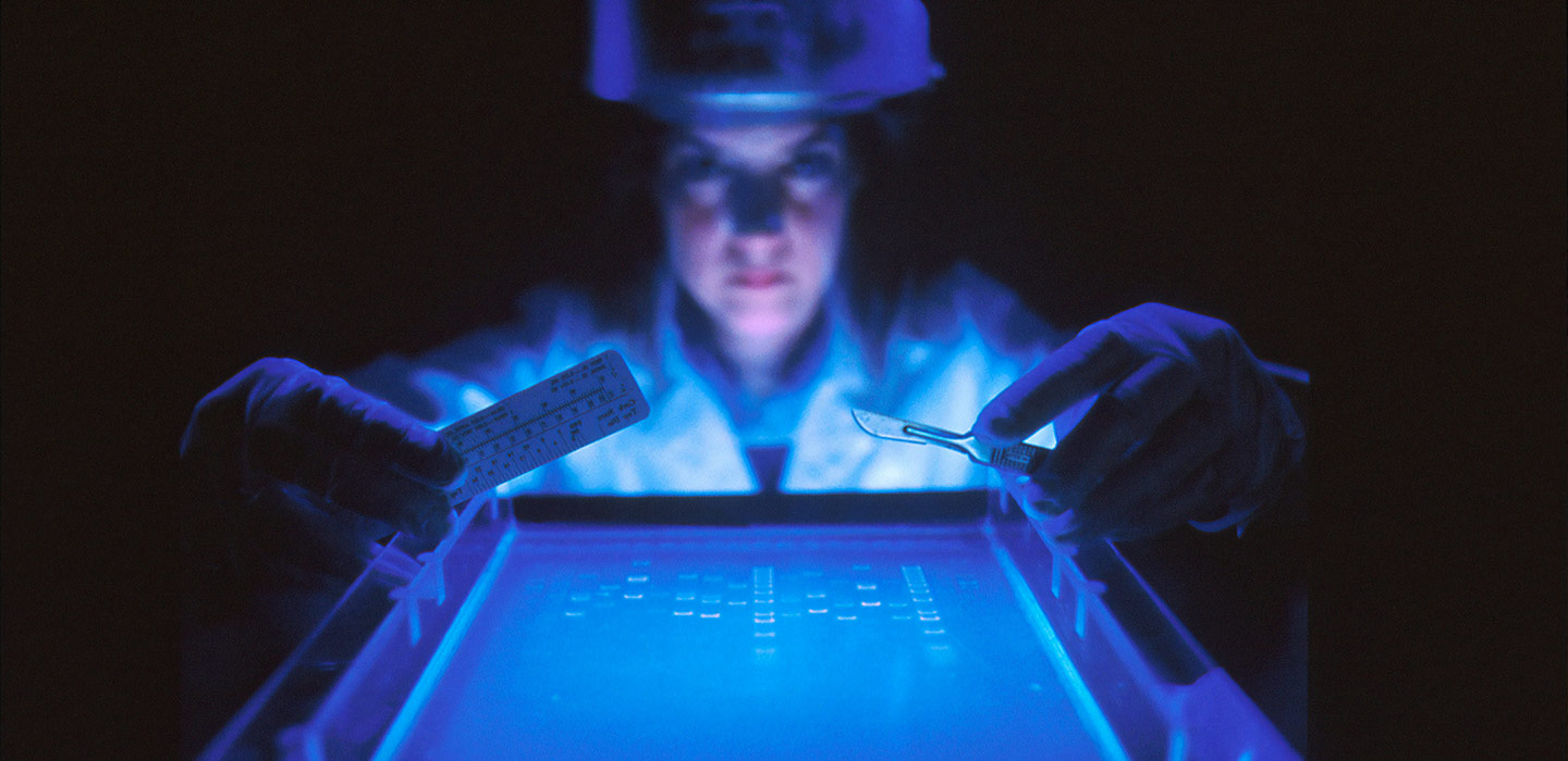 A dye marker on agarose gel used to separate DNA by a female scientist.