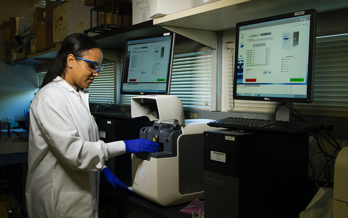 A technician performing DNA genotyping and sequencing.