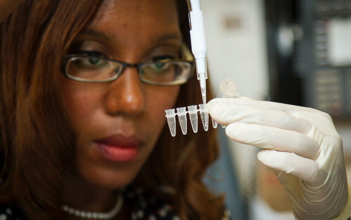 A scientist pipetting DNA samples into a tube.