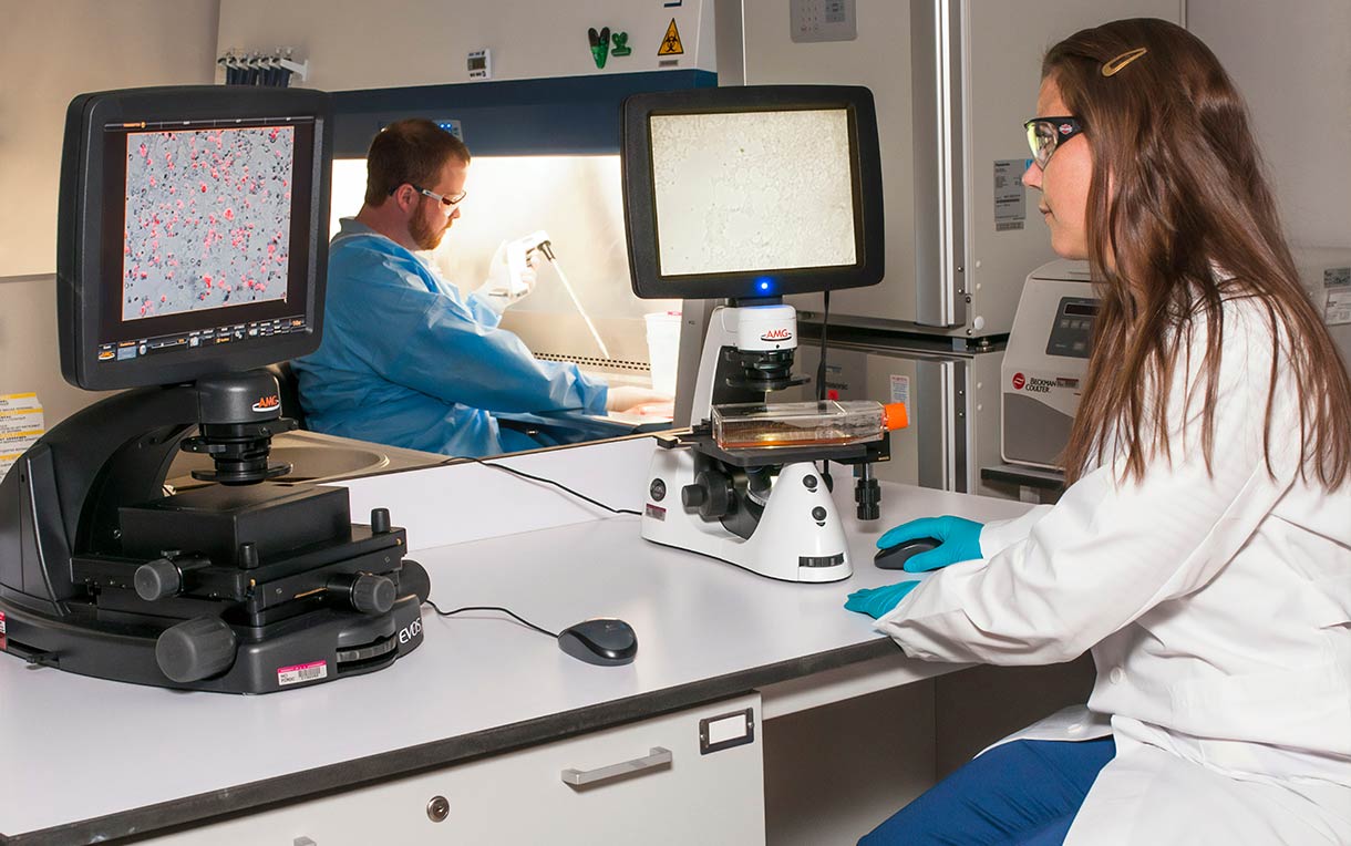 A technician viewing a blot on a fluorescence microscope while another technician is using a pipette.