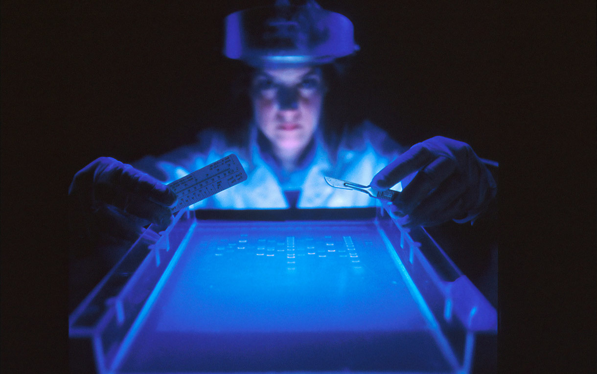 A dye marker on agarose gel used to separate DNA by a female scientist.